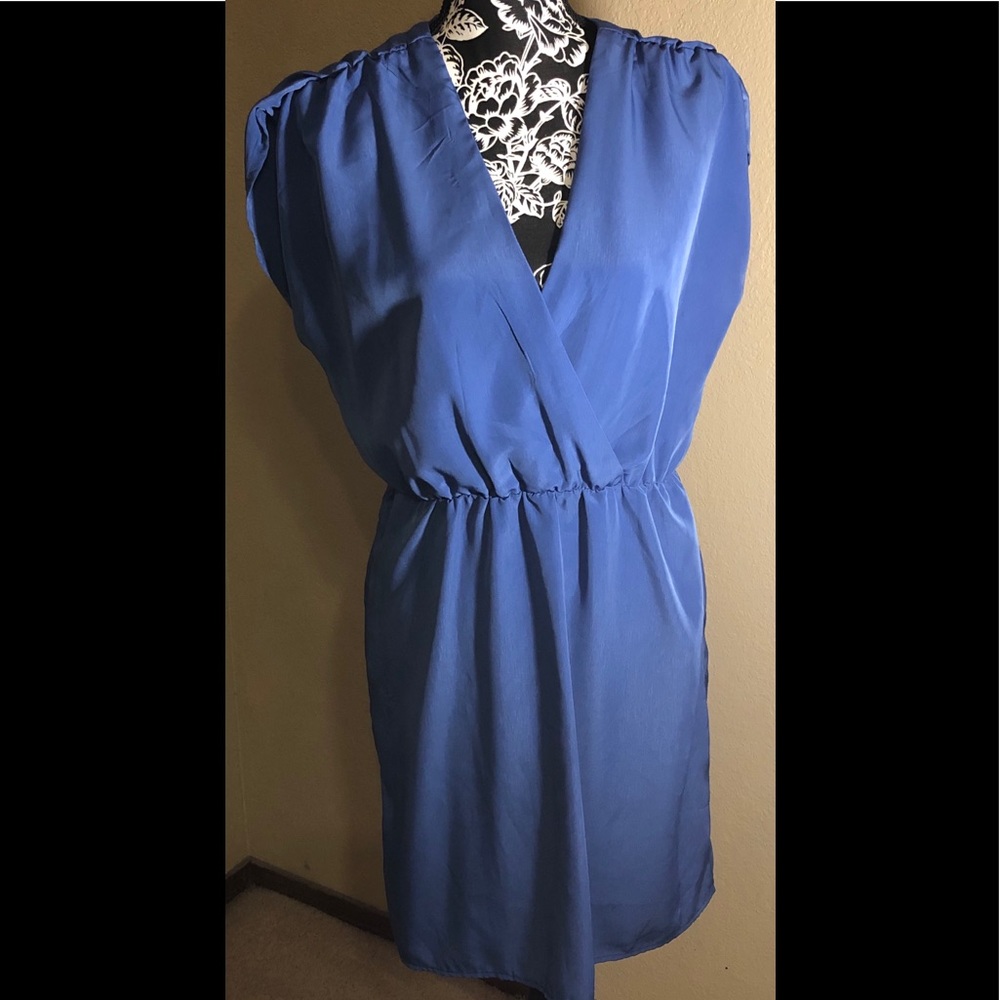 NWOT, Purple dress